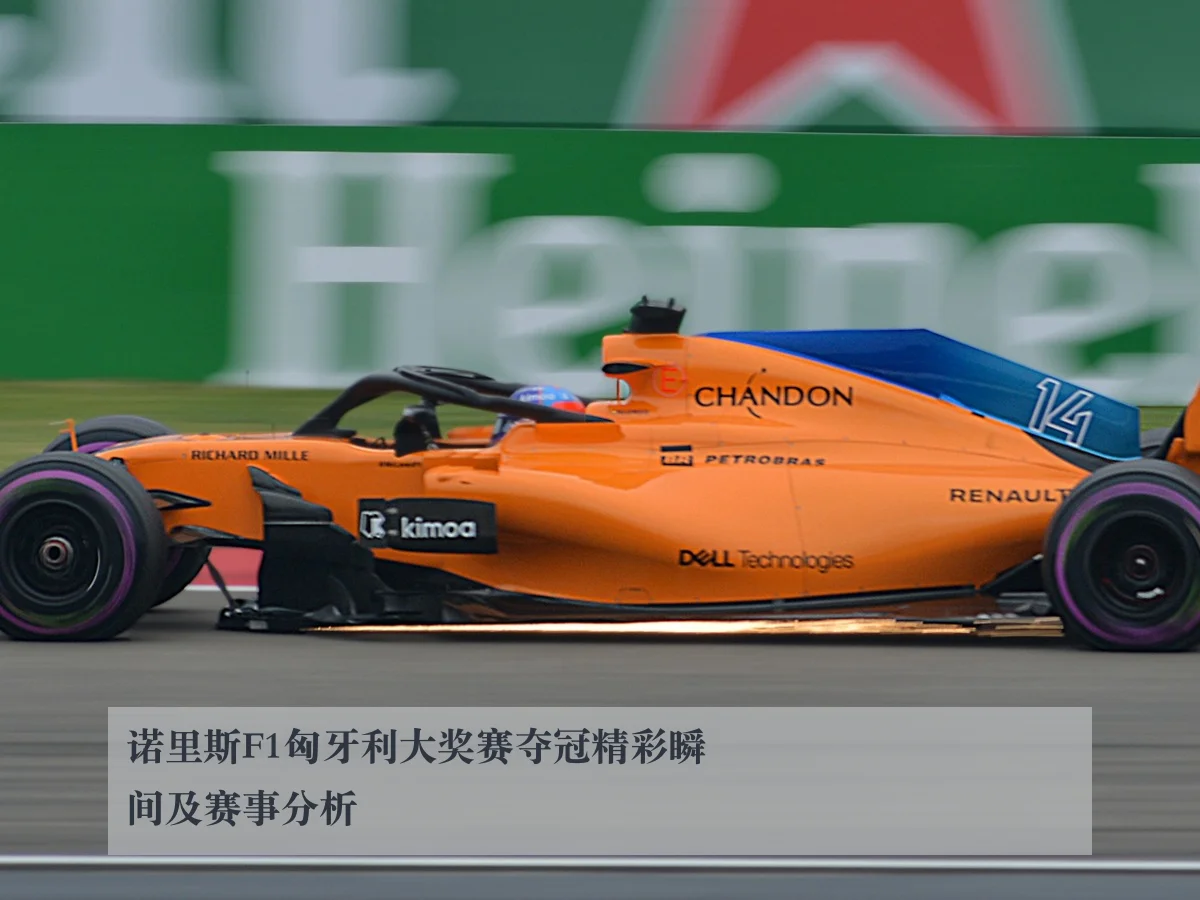 诺里斯F1匈牙利大奖赛夺冠精彩瞬间及赛事分析