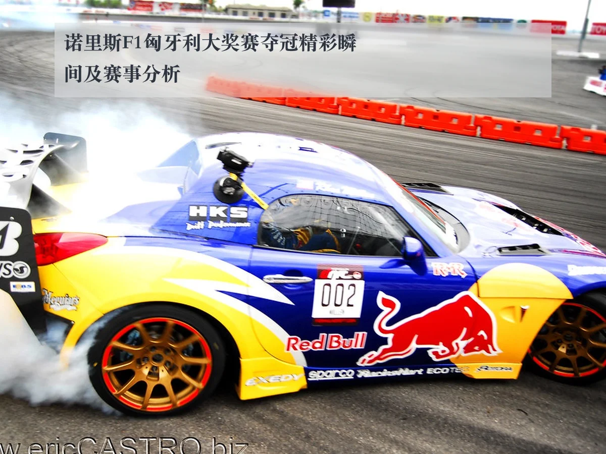 诺里斯F1匈牙利大奖赛夺冠精彩瞬间及赛事分析